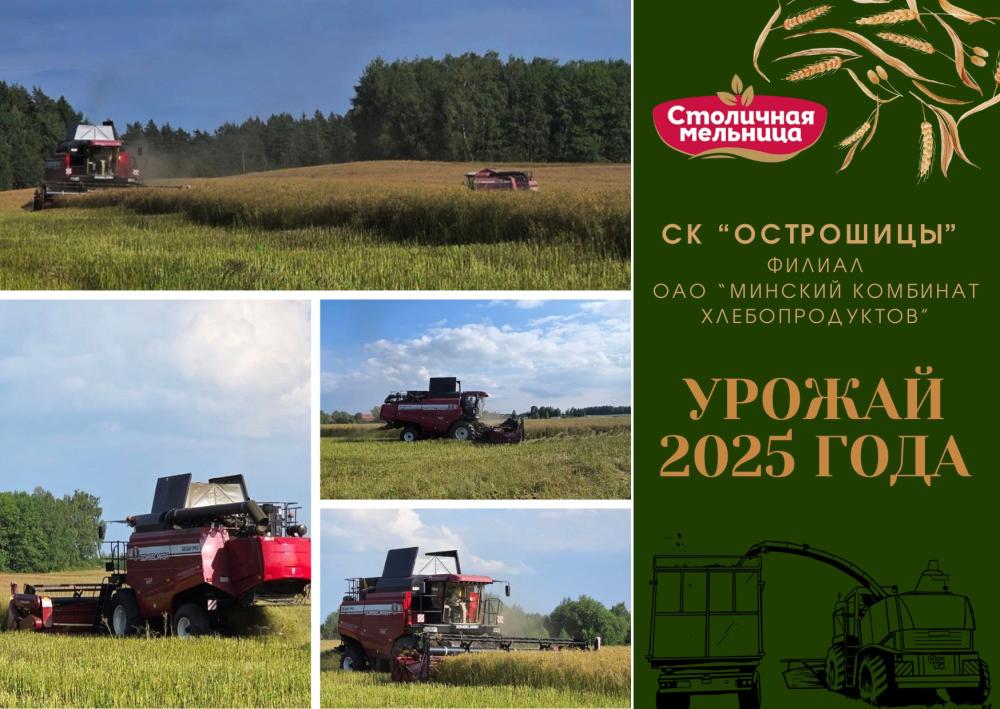 Старт уборки зерновых культур в СК "Острошицы" филиал ОАО "Минский комбинат хлебопродуктов"!