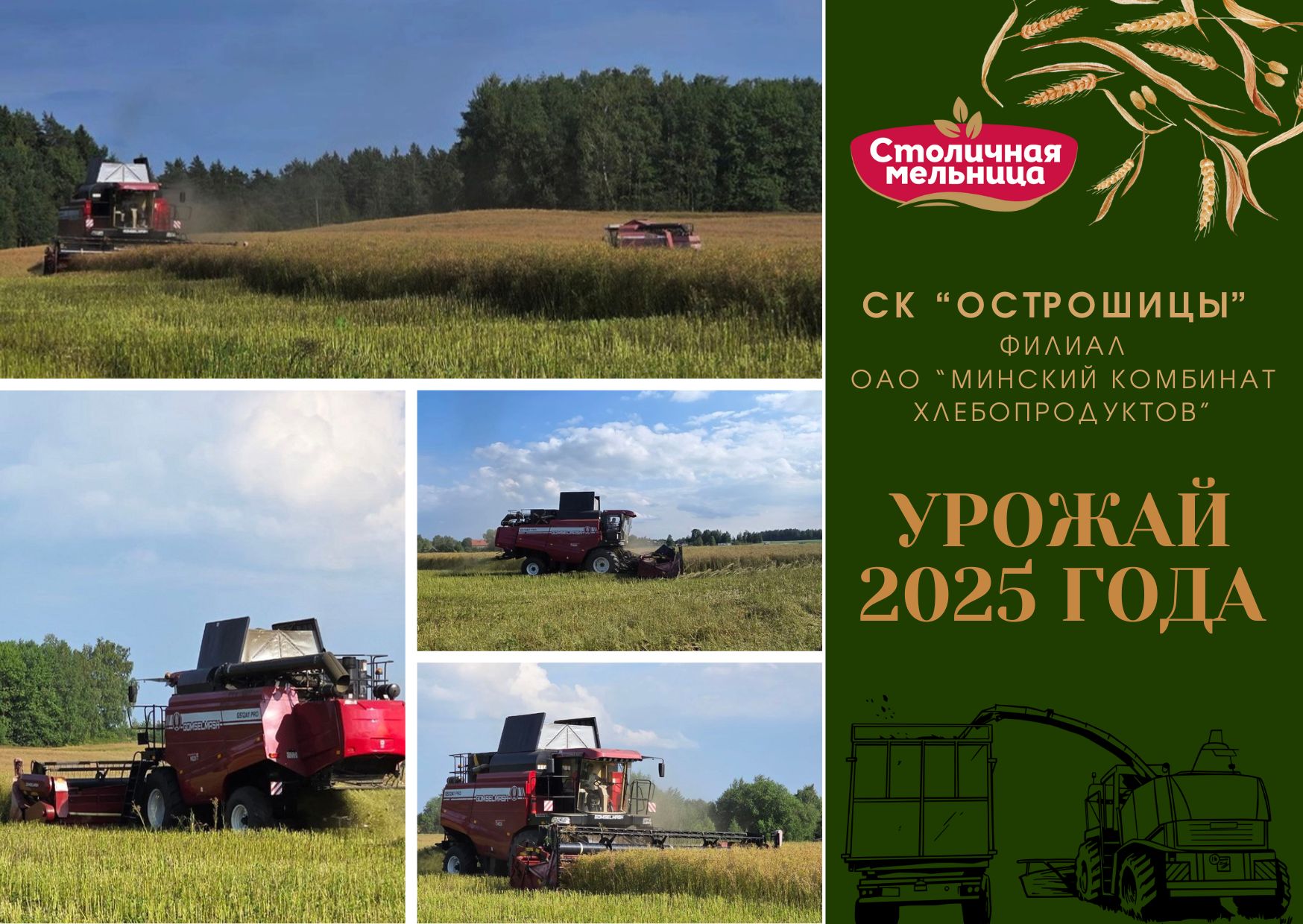 Старт уборки зерновых культур в СК "Острошицы" филиал ОАО "Минский комбинат хлебопродуктов"! Старт уборки зерновых культур в СК "Острошицы" филиал ОАО "Минский комбинат хлебопродуктов"!